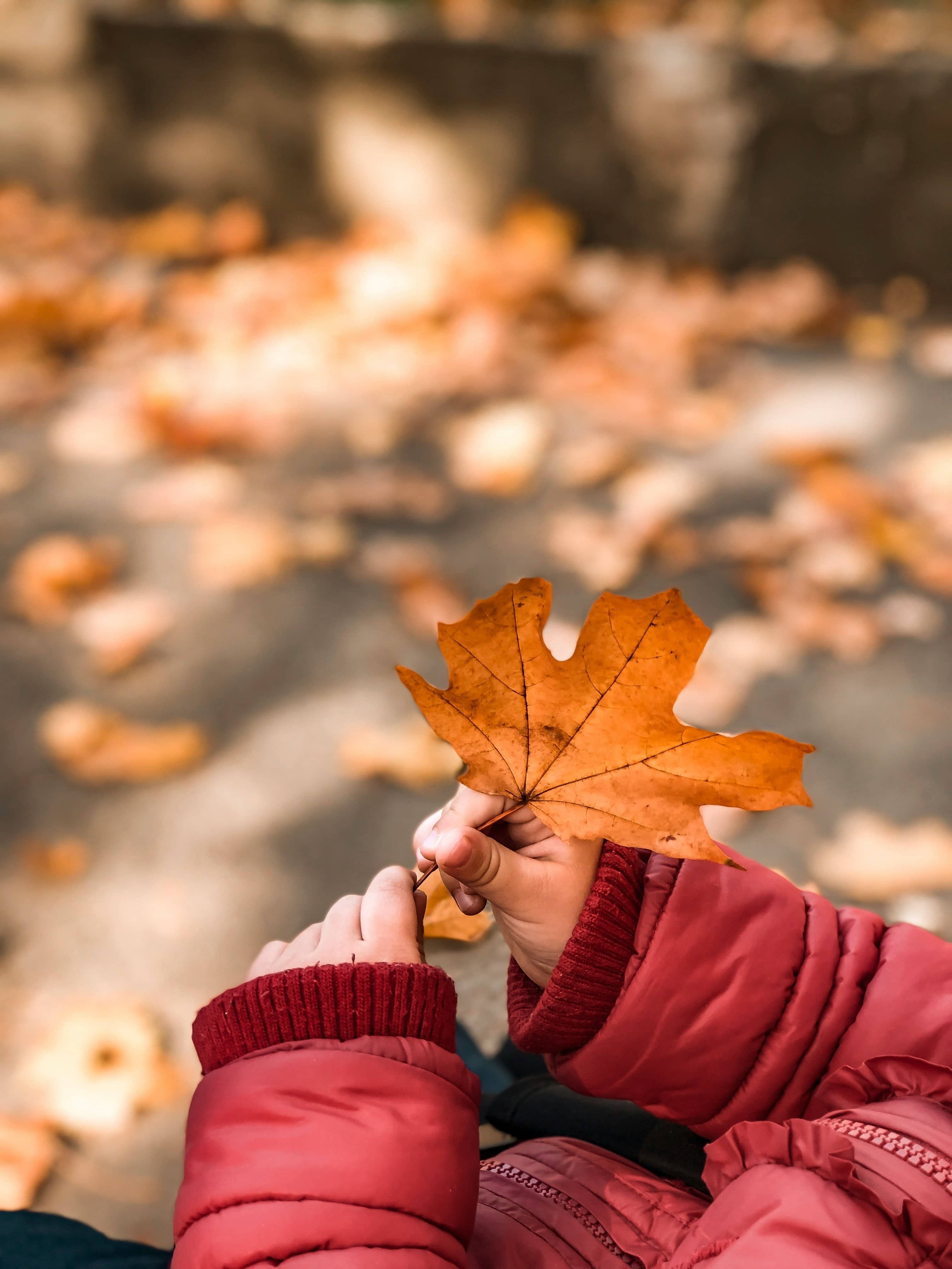 Prénoms d’Automne : 20 idées inspirées par la nature et les couleurs de la saison
